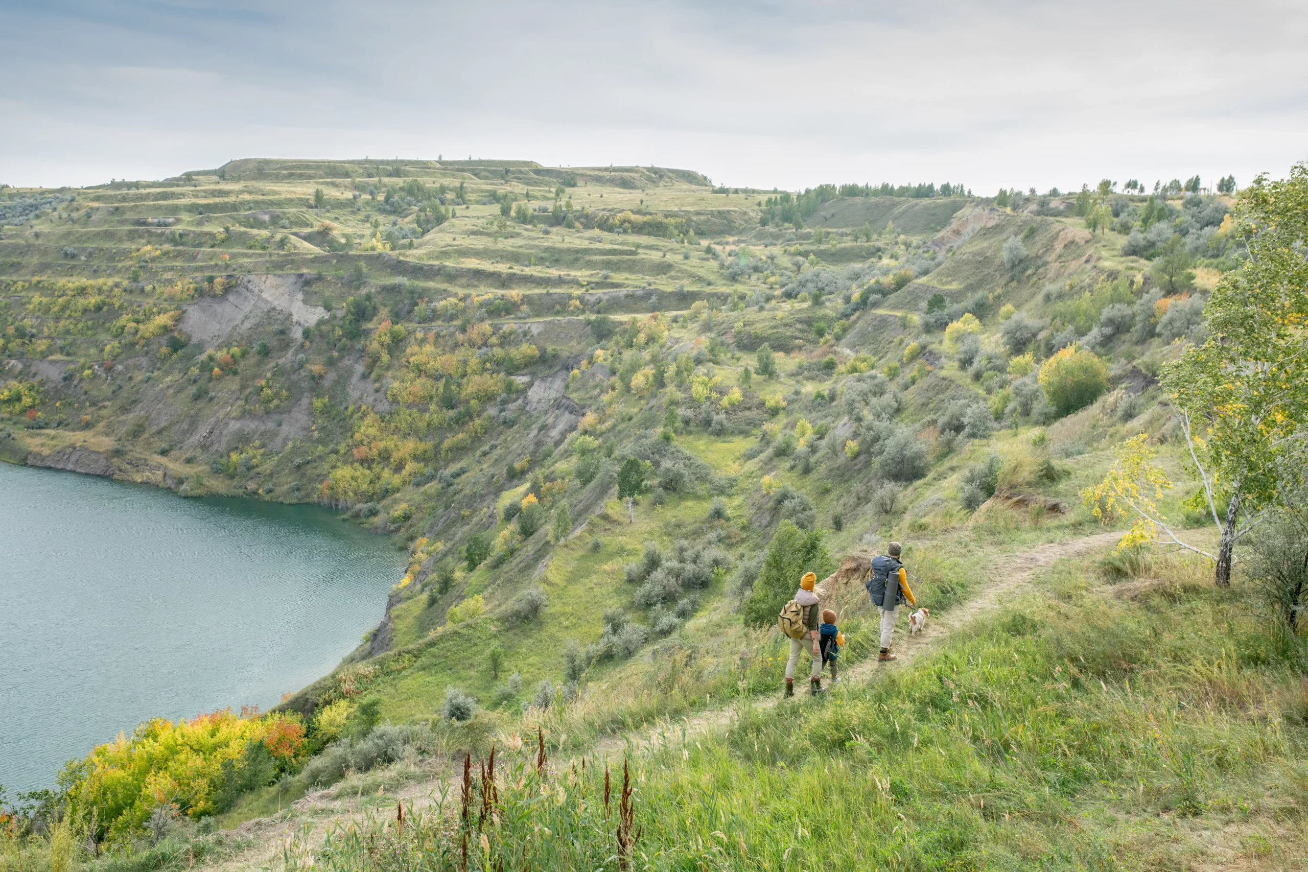 Shield Up, Drumheller! Building Immunity with Food and Lifestyle 1 Immunity with Food and Lifestyle
