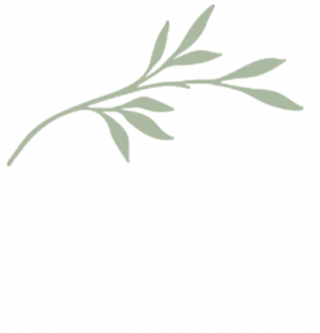 Gym and Wellness Centre