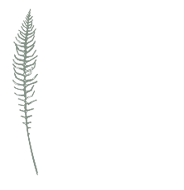 Gym and Wellness Centre