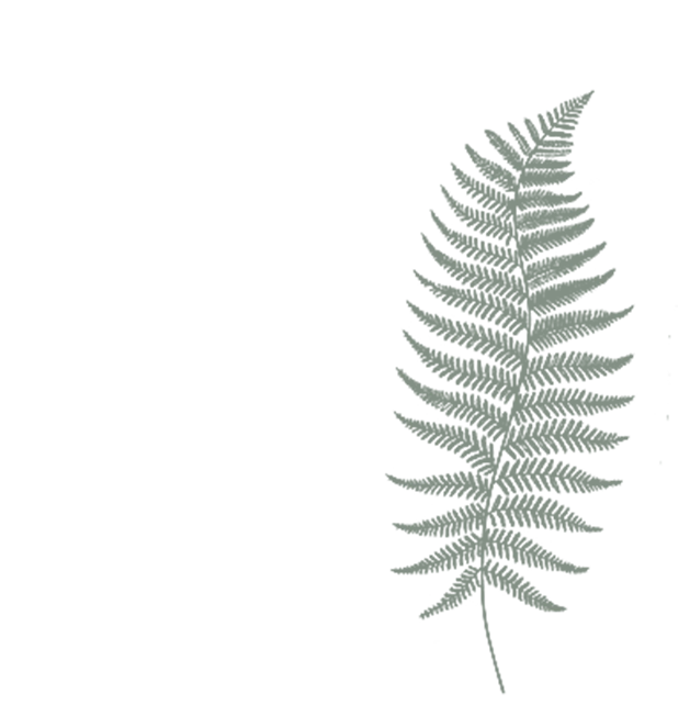 Gym and Wellness Centre