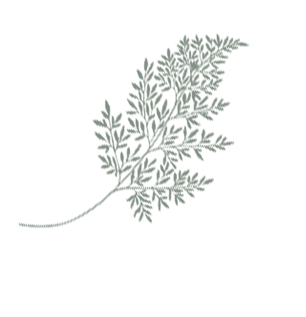 Gym and Wellness Centre