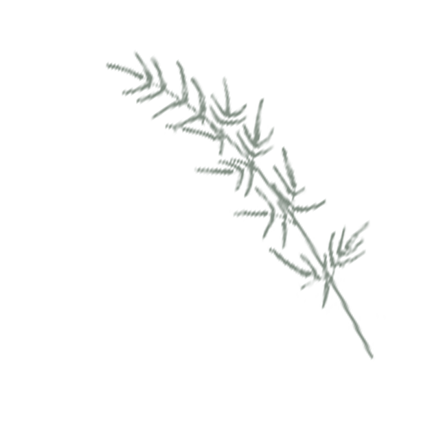 Gym and Wellness Centre